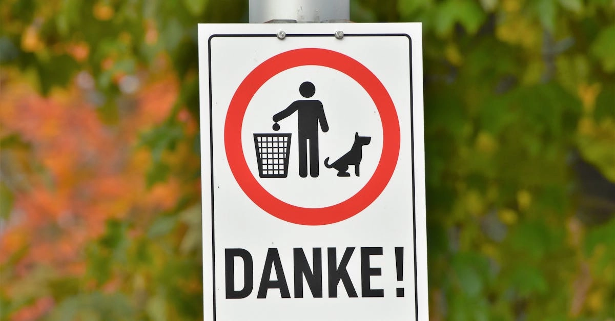 Рациональный подход к немецким игорным сайтам